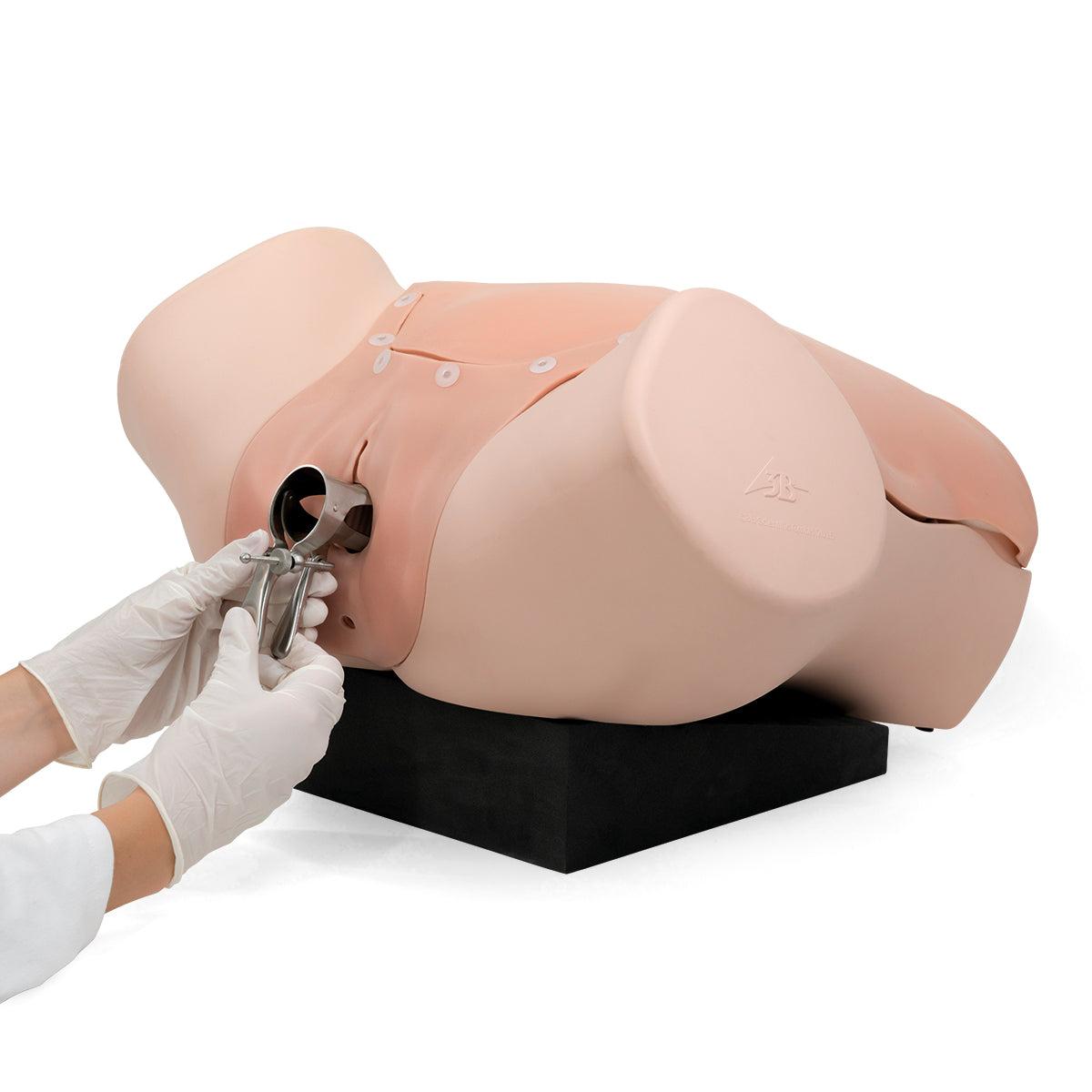 Gynecologic Skills Trainer P91