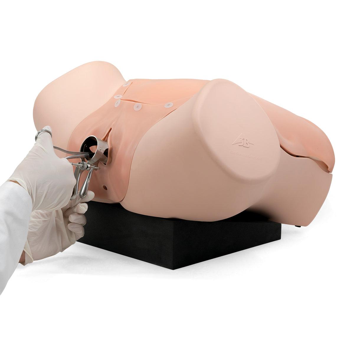 Gynecologic Skills Trainer P91