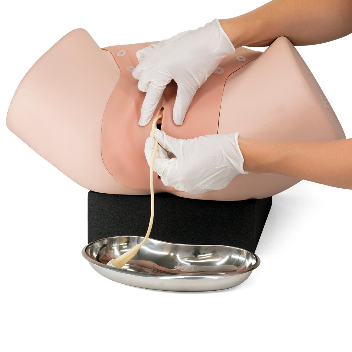 Gynecologic Skills Trainer P91