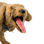Jerry K-9 CPR Dog Manikin