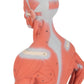 1/3 Life-Size Human Muscle Figure, 2 part