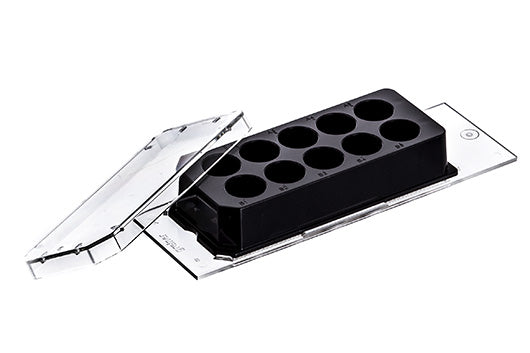 CELLVIEW CELL CULTURE SLIDE, PS, 75/25 MM