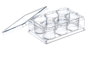 THINCERT PLATE, 6 WELL, PS, LID, STERILE