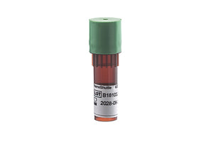NANOSHUTTLE-PL