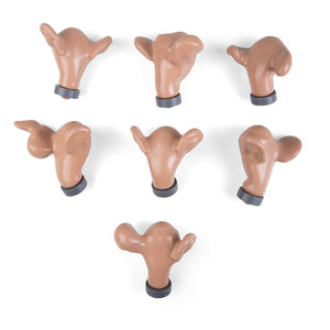 7 Uteri - Normal and with External Pathologies