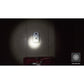 Coast PX20 LED Torch (315 Lumens) Dual Colour Spot Beam