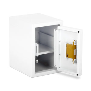 Controlled Drug Cabinet - 17 Litre - 210 X 270 X 300