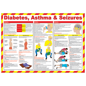 Diabetes, Asthma & Seizures First Aid Poster FA760