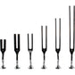 Gardiner Brown Tuning Forks - Set of 6 in case