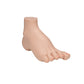 Hollow Foot (Pes Cavus) Model