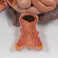 Human Digestive System Model, 3 part