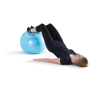 Performance Gym Ball 55cms