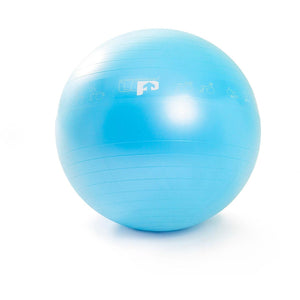 Performance Gym Ball 55cms