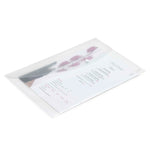 Rapesco Popper Wallet Foolscap Pastel Clear 0695 pack of 5