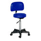 Select Practitioner Chair with Backrest