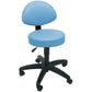 Sunflower Gas-Lift Stool with Back Rest and Castors