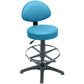 Sunflower High Level Gas-Lift Stool with Back Rest, Foot Ring & Glides