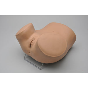 ZOE Gynecologic Simulator, Light