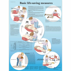 Basic Life Support Chart